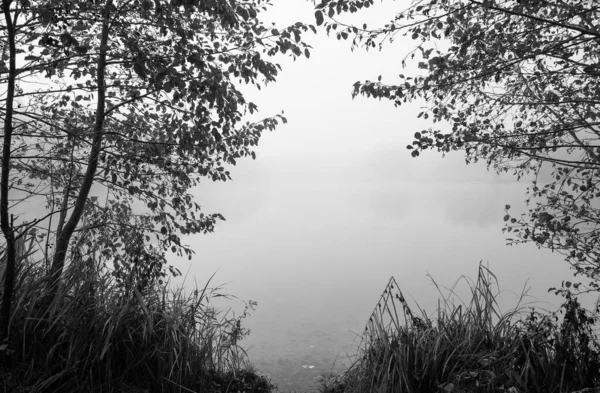 Germeringer See Germering Upper Bavaria 在雾中湖面上的风景 黑白照片 自然界中的雾霾早晨 — 图库照片
