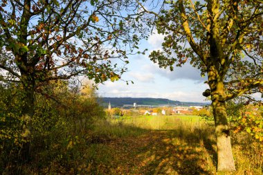 Kulmbach bölgesindeki Goldbergsee 'de manzara. Tarlaları ve çayırları olan doğa.