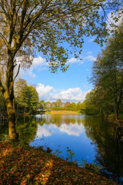 Ostheim doğal banyo gölü Malsfeld yakınlarında. Sonbaharda göl kenarındaki Idyllic manzarası.