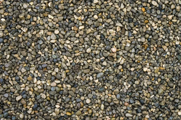 Caminho Feito Seixos Contexto Pequenas Pedras — Fotografia de Stock