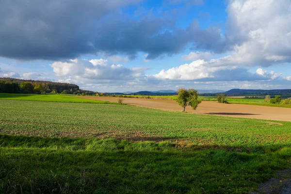 在Kulmbach地区的Goldbergsee风景区 有田野和草地的大自然 — 图库照片
