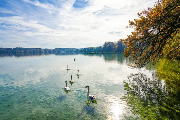 Göl kenarındaki Idyllic sonbahar manzarası.