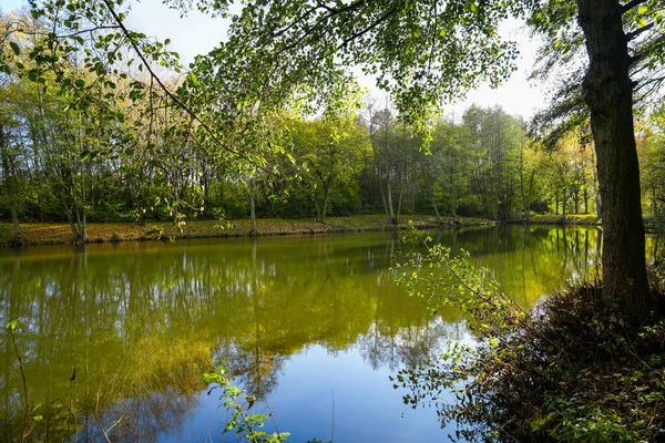 Ostheim Natuurzwemmeer Bij Malsfeld Idyllisch Landschap Bij Het Meer Herfst — Stockfoto