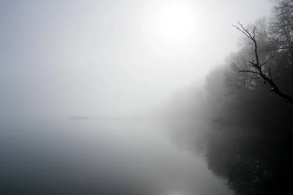 Paisagem Com Molhe Lago Natureza Com Nevoeiro Pela Manhã — Fotografia de Stock