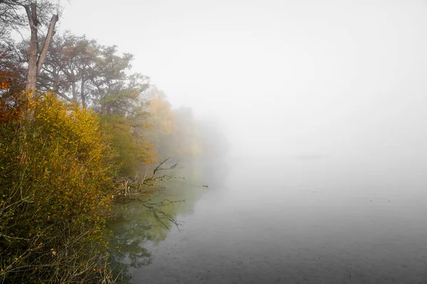 Göl Kenarındaki Sonbahar Manzarası Sabah Sisli Doğa — Stok fotoğraf
