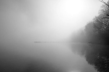 Jetty gölde, siste. Sabaha puslu bir manzara. Deniz kıyısındaki idilik doğa. Dinlenme ve rahatlama.