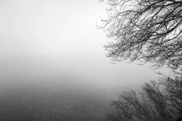 Paisagem Outono Junto Lago Natureza Com Nevoeiro Pela Manhã — Fotografia de Stock