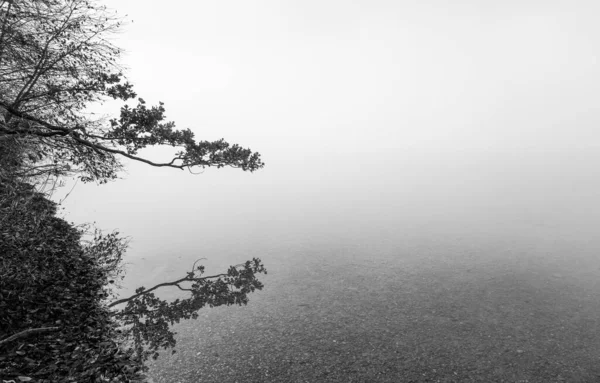 湖边的秋景 晨雾蒙蒙的大自然 — 图库照片