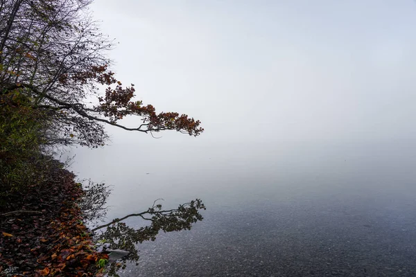 Paysage Automne Bord Lac Nature Avec Brouillard Matin — Photo