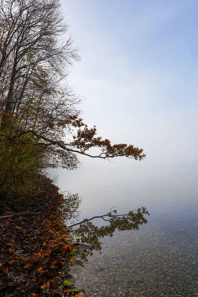 湖の秋の風景です 朝の霧の自然 — ストック写真