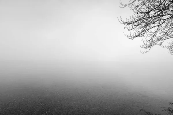 湖边的秋景 晨雾蒙蒙的大自然 — 图库照片
