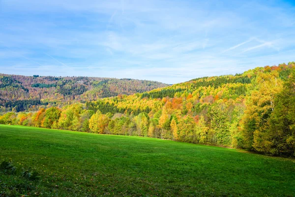 里登贝格附近的自然景观和罗恩河 高山低洼地区的秋林 — 图库照片