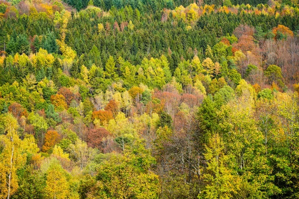 Blick Auf Die Natur Und Den Rohn Bei Riedenberg Herbstwald — Stockfoto