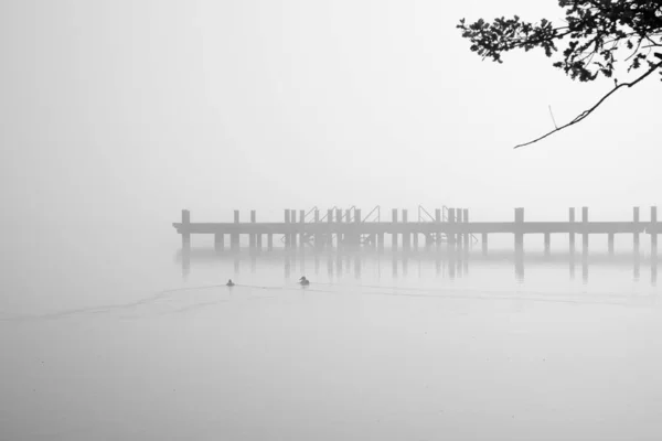 湖での桟橋と風景 朝の霧の自然 — ストック写真