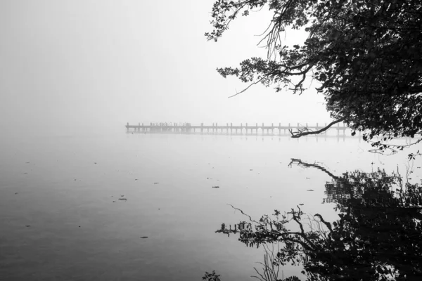 호수에 아침에 안개가 — 스톡 사진