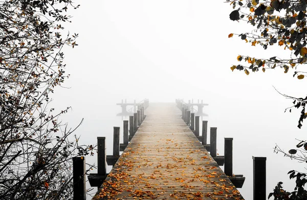 Дженті Тумані Містичний Туманний Пейзаж Біля Озера Ранковий Туман Восени — стокове фото