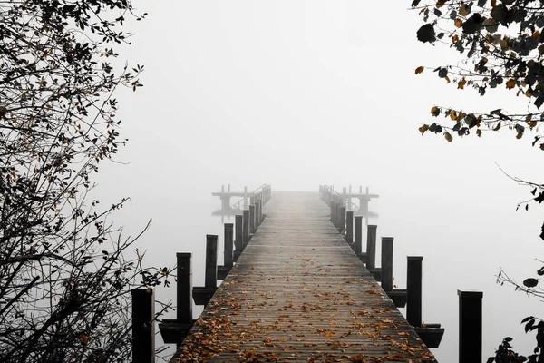雾中的Jetty湖面神秘的雾蒙蒙的风景 秋天的晨雾 — 图库照片