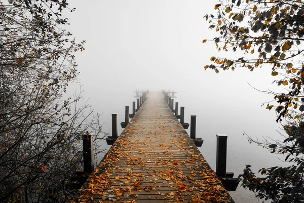 Jetty Fog Mystical Foggy Landscape Lake Morning Fog Autumn — Stock Photo, Image