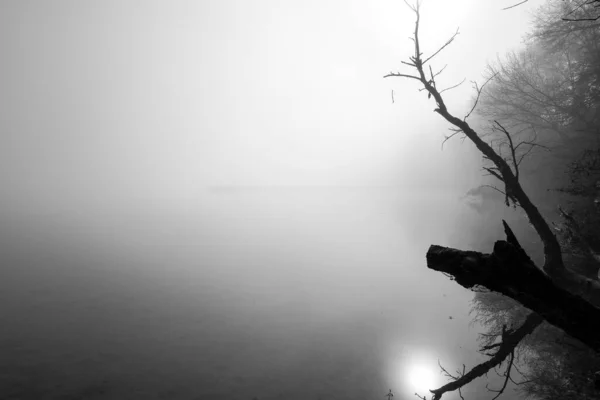 Krajina Mola Jezera Příroda Mlhou Ráno — Stock fotografie