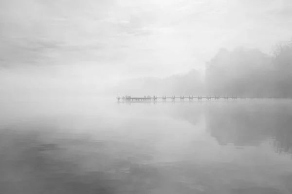 Дженті Біля Озера Тумані Похмурий Пейзаж Вранці Ідилічна Природа Біля — стокове фото