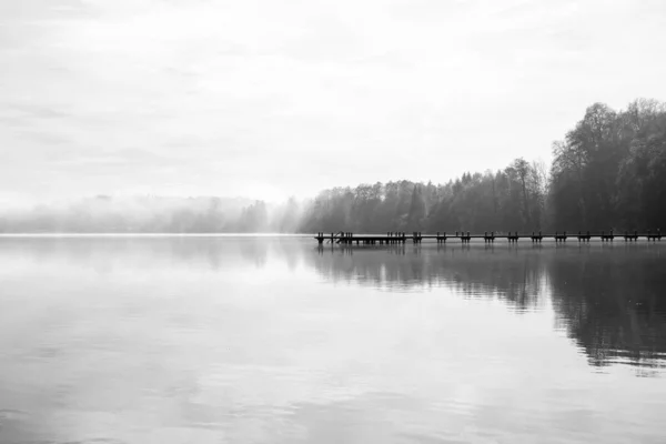 호수에 아침의 미스티 풍경이야 목질적 성질을 — 스톡 사진