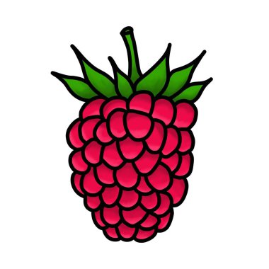 Çizgi film tarzında ahududu çizimi. Taze meyve ve böğürtlen ile sağlıklı beslenme, organik gıda, vejetaryen ürün.