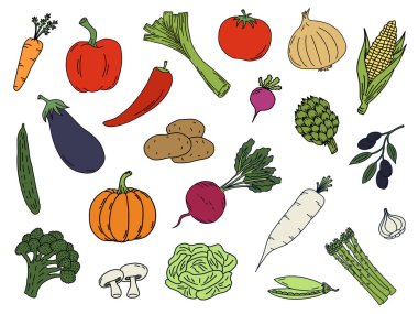Beyaz arka planda sebzelerin renkli çizimi. El çizimi yalıtılmış sebze elementleri.