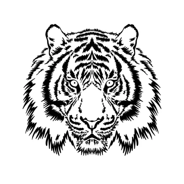 Black White Illustration Tiger Animal Head White Background Hand Drawn — Stock Photo, Image