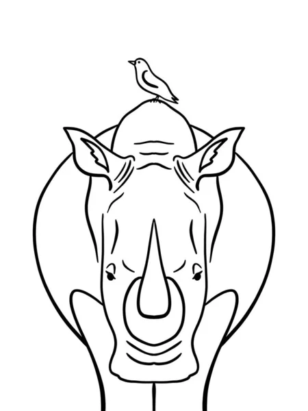 Иллюстрация Носорога Птицей Черно Белая Раскраска — стоковое фото