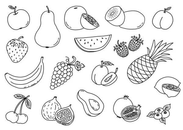 Ilustración Frutas Bayas Sobre Fondo Blanco Elementos Frutales Individuales Dibujados —  Fotos de Stock