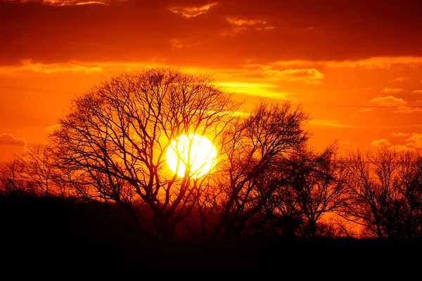 Krajobraz Nadrenii Północnej Westfalii Zachód Słońca Jasnymi Kolorami Ciemną Sylwetką — Zdjęcie stockowe