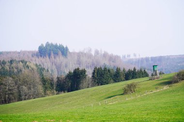 Brilon yakınlarındaki manzara, Kuzey Ren Vestfalyası. Tepeleri, ormanları ve tarlaları olan doğa. Wooded alanı.