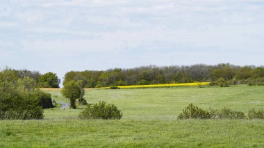 Dolberg, Ahlen yakınlarındaki yeşil tarlaların manzarası. Baharda doğa yeşil çayır ve ağaçlarla