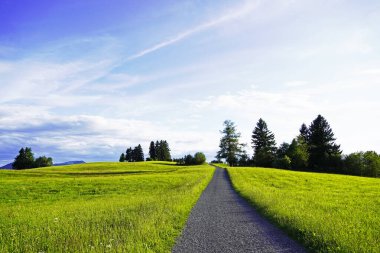 Bavyera 'daki Allgau' da Panorama manzarası. Dağları, çayırları ve ormanları olan doğa..