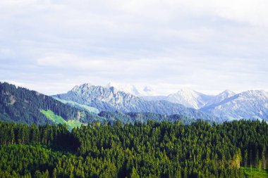 Bavyera 'daki Allgau' da Panorama manzarası. Dağları, çayırları ve ormanları olan doğa..