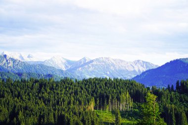 Bavyera 'daki Allgau' da Panorama manzarası. Dağları, çayırları ve ormanları olan doğa..