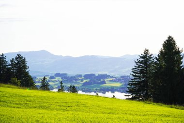 Bavyera 'daki Allgau' da Panorama manzarası. Dağları, çayırları ve ormanları olan doğa..