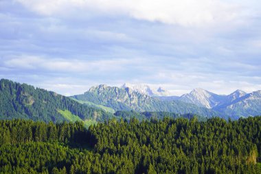 Bavyera 'daki Allgu' da Panorama manzarası. Dağları, çayırları ve ormanları olan doğa..