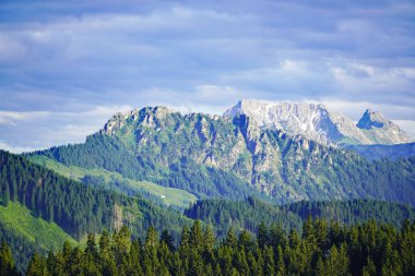 Bavyera 'daki Allgau' da Panorama manzarası. Dağları, çayırları ve ormanları olan doğa..