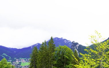 Bavyera 'daki Allgu' da Panorama manzarası. Dağları, çayırları ve ormanları olan doğa..