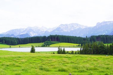 Atlesee, Bavyera 'da Allgovia' da. Göl manzaralı..