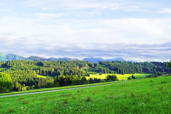 Bavyera 'daki Allgau' da Panorama manzarası. Dağları, çayırları ve ormanları olan doğa..