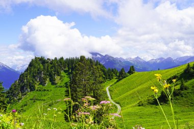 Hahnenkamm 'dan manzara manzarası. Avusturya 'da dağ, doğayla iç içe.