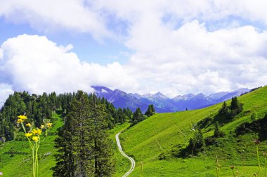Hahnenkamm 'dan manzara manzarası. Avusturya 'da dağ, doğayla iç içe.