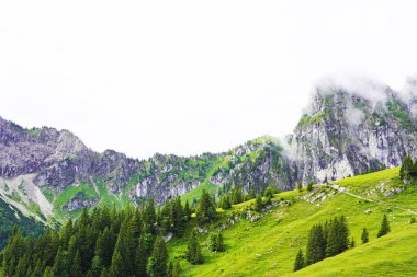 Pfronten yakınlarındaki Breitenberg 'den manzara manzarası. Allgau, Bavyera 'da Doğa.
