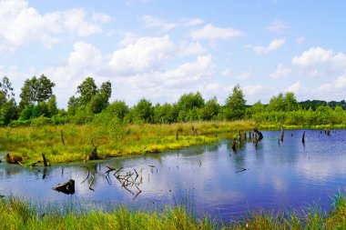 Diepholz yakınlarında Diepholzer Moor Doğa Koruma Alanı. Yükselmiş bir bataklıkta manzara.