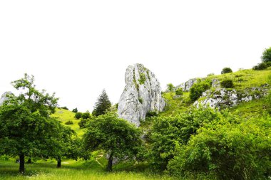 Eselsburger Tal, Almanya 'da doğa rezervi. Taşlı yeşil manzara