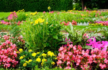 Bahçedeki flowerbed.