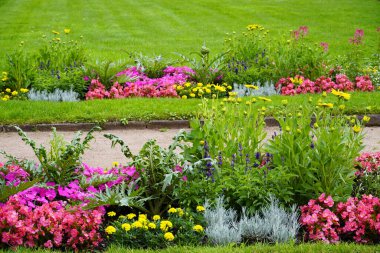 Bahçedeki flowerbed.