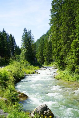 Nehir Tyrol 'da, Avusturya' da Lermoos yakınlarında. Ağaçlarla çevrili bir dere manzarası.